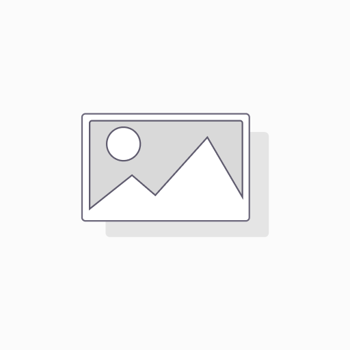 1-Methyl-4-nitro-1H-imidazole-5-carboxylic Acid (1-Methyl-4-nitro-5-imidazolecarboxylic Acid, NSC 270854)