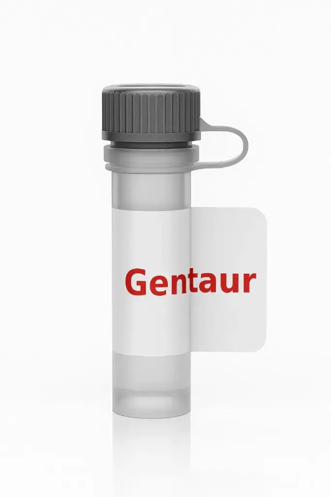 50bp DNA Ladder, 100 Loads